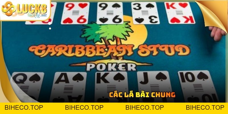 Cách Chơi Poker: Hướng Dẫn Chi Tiết Cho Người Mới Bắt Đầu - biheco