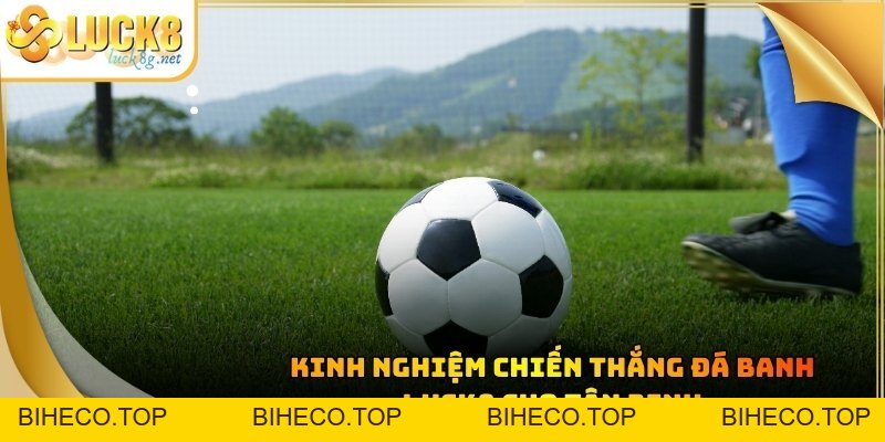 Đá Banh Luck8 - Tham Gia Cá Độ Bóng Đá Cực Dễ Năm 2026 - biheco