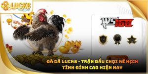 LUCK8 💯 Trang Chủ Cá Cược 1 WIN 2 Đăng Ký Thưởng Liền 888k - biheco