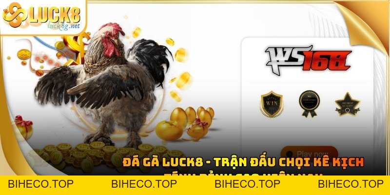 Đá Gà Luck8 - Trận Đấu Chọi Kê Kịch Tính Đỉnh Cao Hiện Nay - biheco