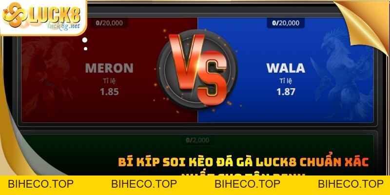 Đá Gà Luck8 - Trận Đấu Chọi Kê Kịch Tính Đỉnh Cao Hiện Nay - biheco