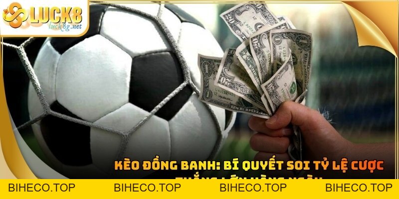 Blog Tin Tức Và Những Bí Quyết Cá Cược Thắng Lớn Tại Luck8 - biheco