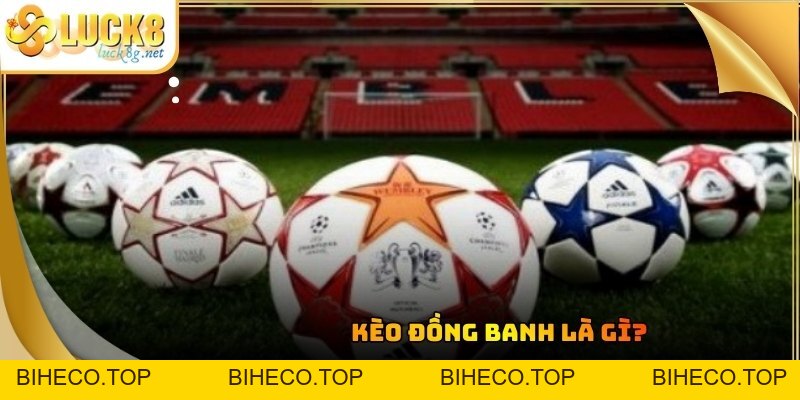 Kèo Đồng Banh: Bí Quyết Soi Tỷ Lệ Cược Thắng Lớn Hàng Ngày - biheco