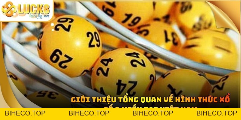 Xổ Số 3 Miền: Luck8 Cập Nhật Kết Quả Nhanh Nhất 2026 - biheco
