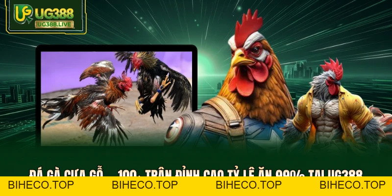 Tin tức - My Blog - biheco