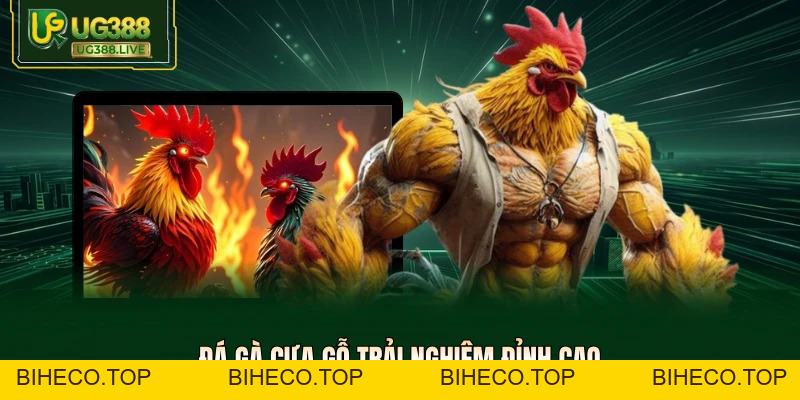 Đá Gà Cựa Gỗ -  100+ Trận Đỉnh Cao Tỷ Lệ Ăn 99% Tại UG388 - biheco