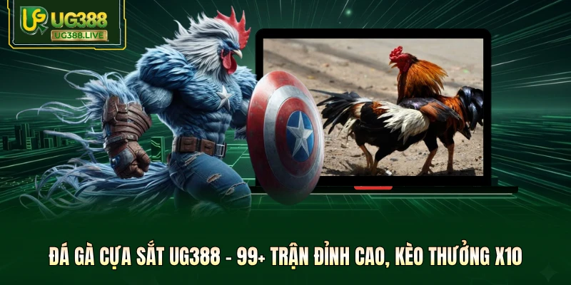 Tin tức - My Blog - biheco