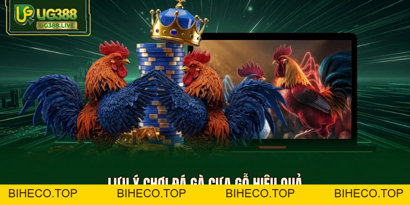 Đá Gà Cựa Gỗ -  100+ Trận Đỉnh Cao Tỷ Lệ Ăn 99% Tại UG388 - biheco