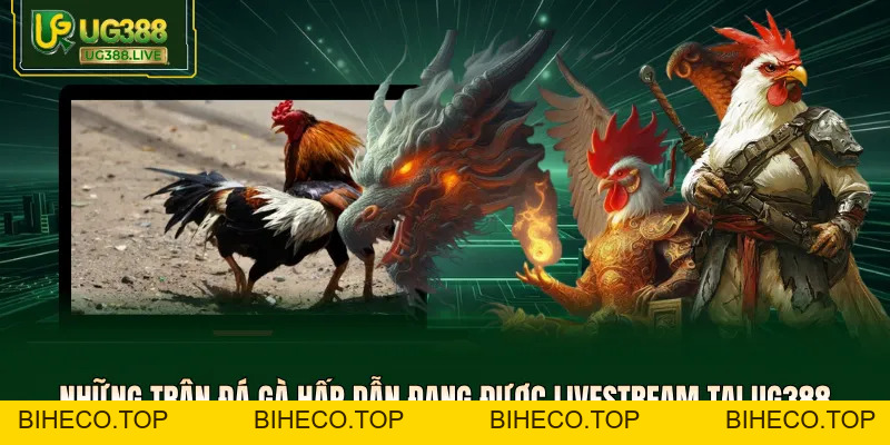 Đá Gà UG388 - Trực Tiếp Các Trận Đấu Thomo Kịch Tính Nhất - biheco