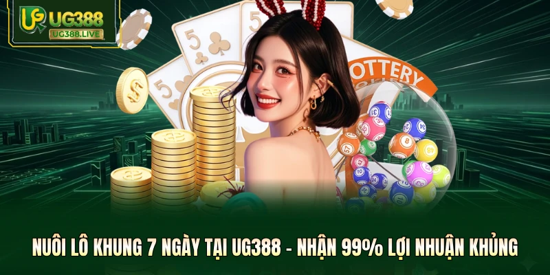 Tin tức - My Blog - biheco