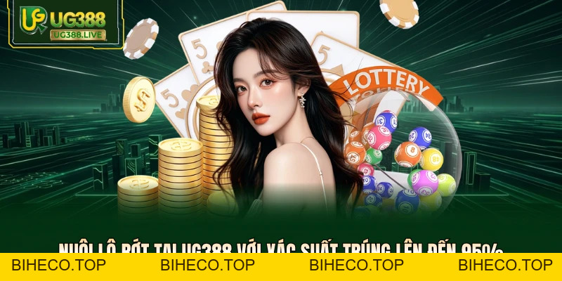 Tin tức - My Blog - biheco