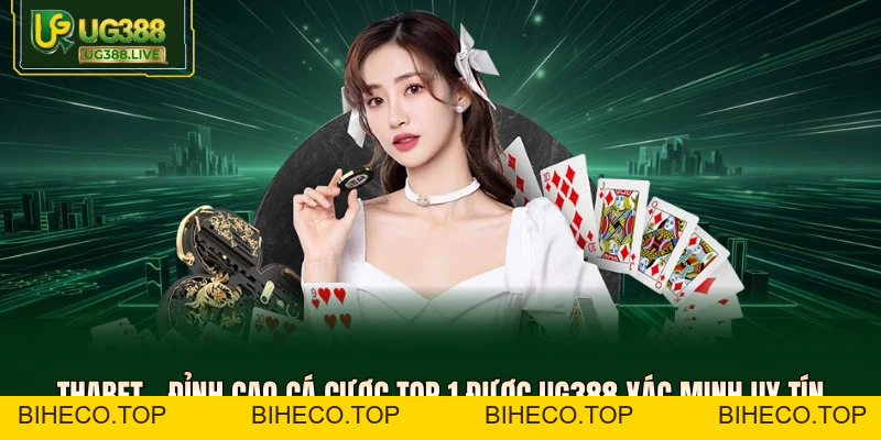 Tin tức - My Blog - biheco
