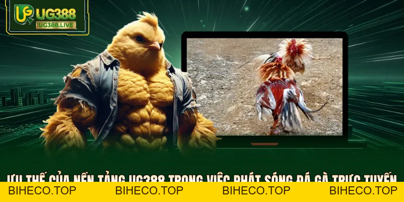 Đá Gà UG388 - Trực Tiếp Các Trận Đấu Thomo Kịch Tính Nhất - biheco
