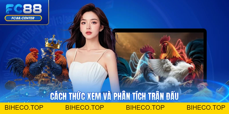 Đá Gà Cựa Dao C1 - Sân Chơi Đẳng Cấp Đừng Đầu Châu Á - biheco