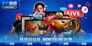 Tin Tức FC88 - biheco.top - biheco
