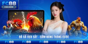 Tin Tức FC88 - biheco.top - biheco