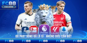 Tin Tức FC88 - biheco.top - biheco