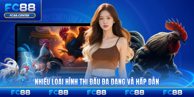 Đá Gà Cựa Dao C1 - Sân Chơi Đẳng Cấp Đừng Đầu Châu Á - biheco