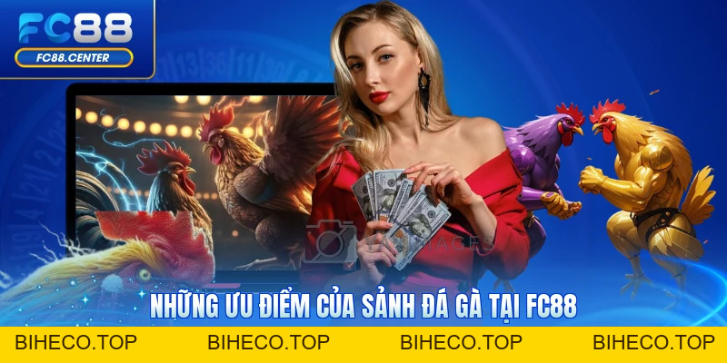 Đá Gà FC88 - So Sánh Các Hình Thức Cược Gà Thịnh Hành - biheco