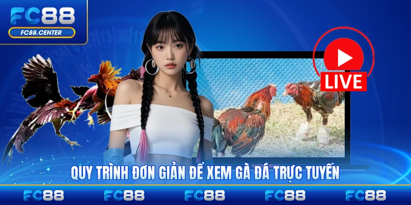 Trực Tiếp Đá Gà 167 - Kết Nối Trận Đấu Kịch Tính - biheco