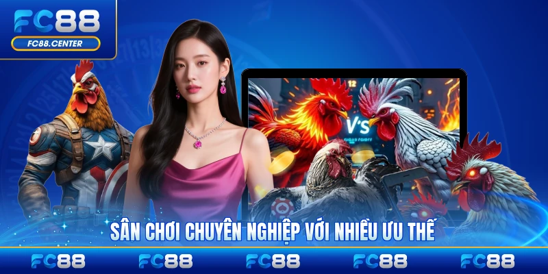Đá Gà Đảo Philippines - Sân Chơi Đỉnh Cao Số 1 Châu Á - biheco
