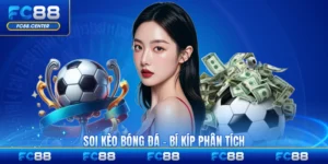 Tin Tức FC88 - biheco.top - biheco