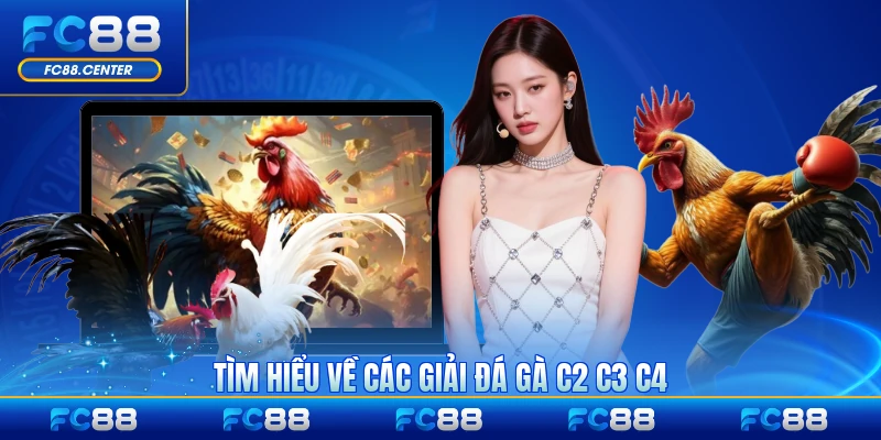 Đá Gà C2 C3 C4 - Điểm Danh Những Giải Đấu Uy Tín Hàng Đầu - biheco