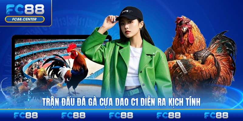 Đá Gà Cựa Dao C1 - Sân Chơi Đẳng Cấp Đừng Đầu Châu Á - biheco
